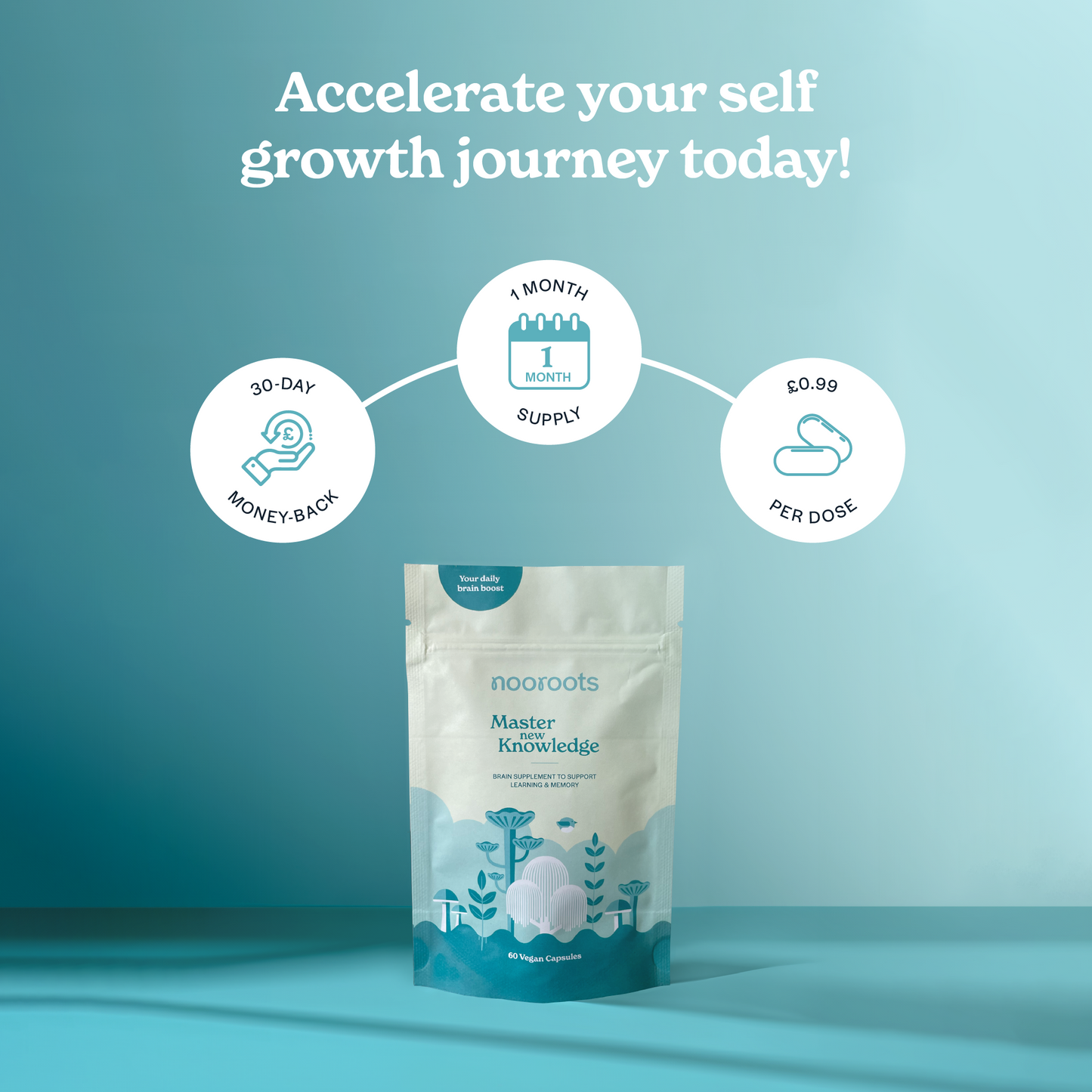 Natural Nootropic Brain Supplement - Learning & Memory