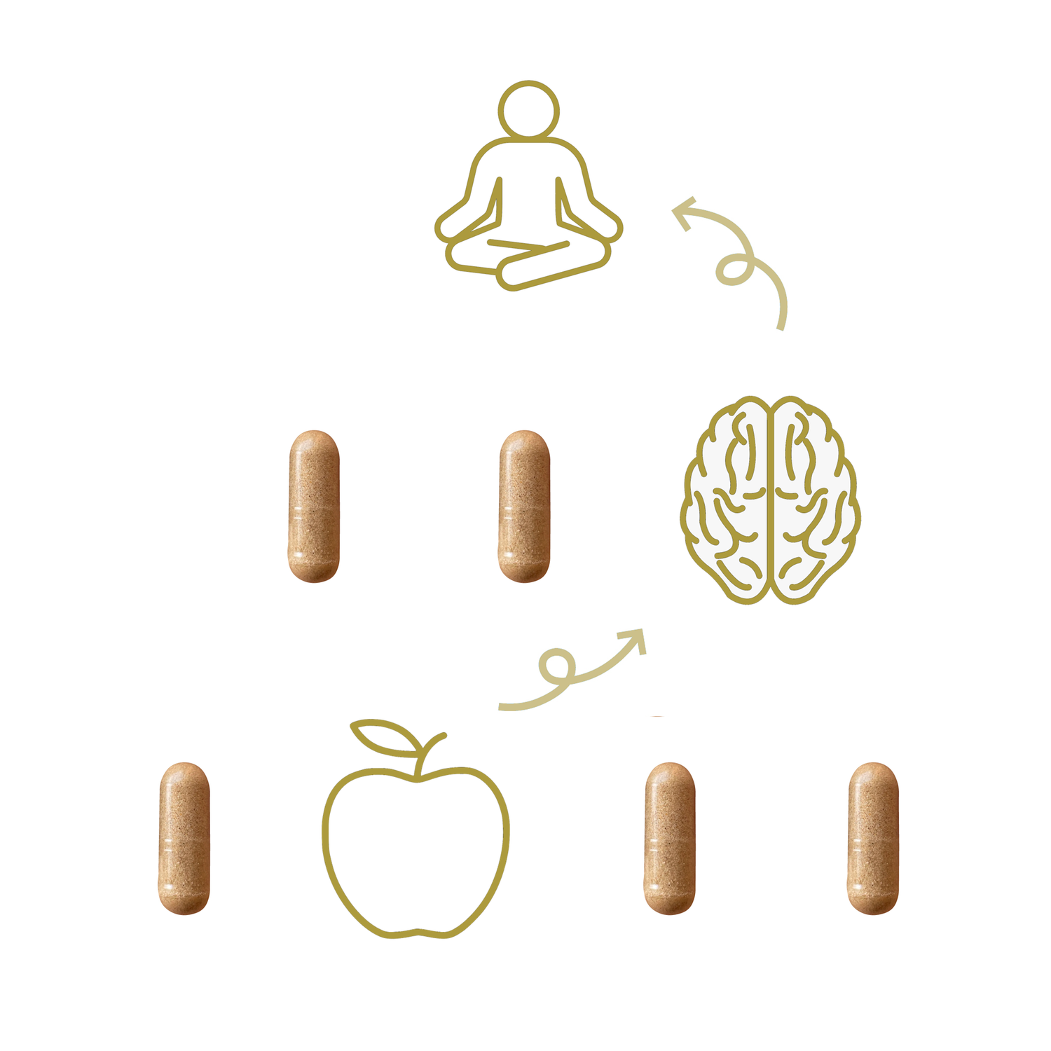 approach mood and wellbeing nooroots nootropic supplement