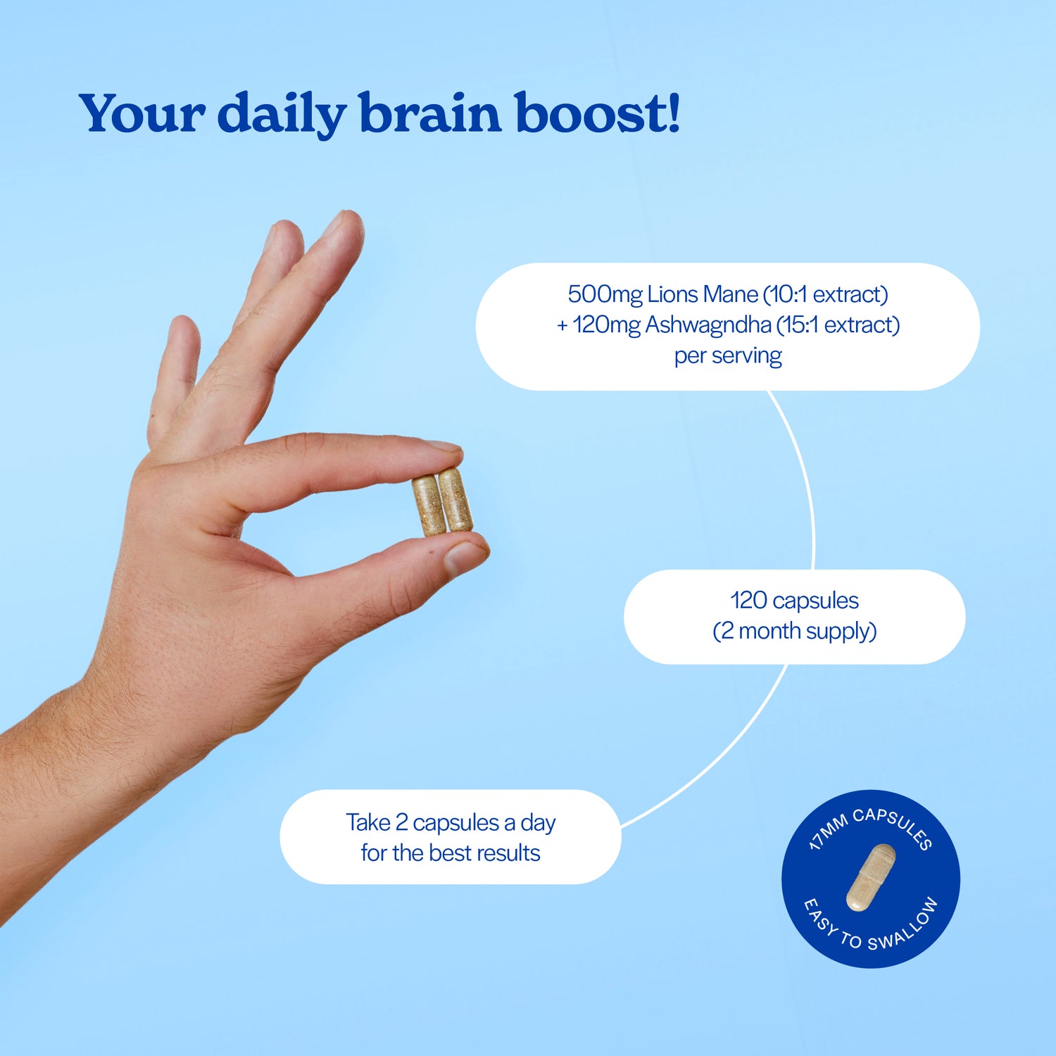 nooroots ashwagandha lions mane nootropic supplement key features