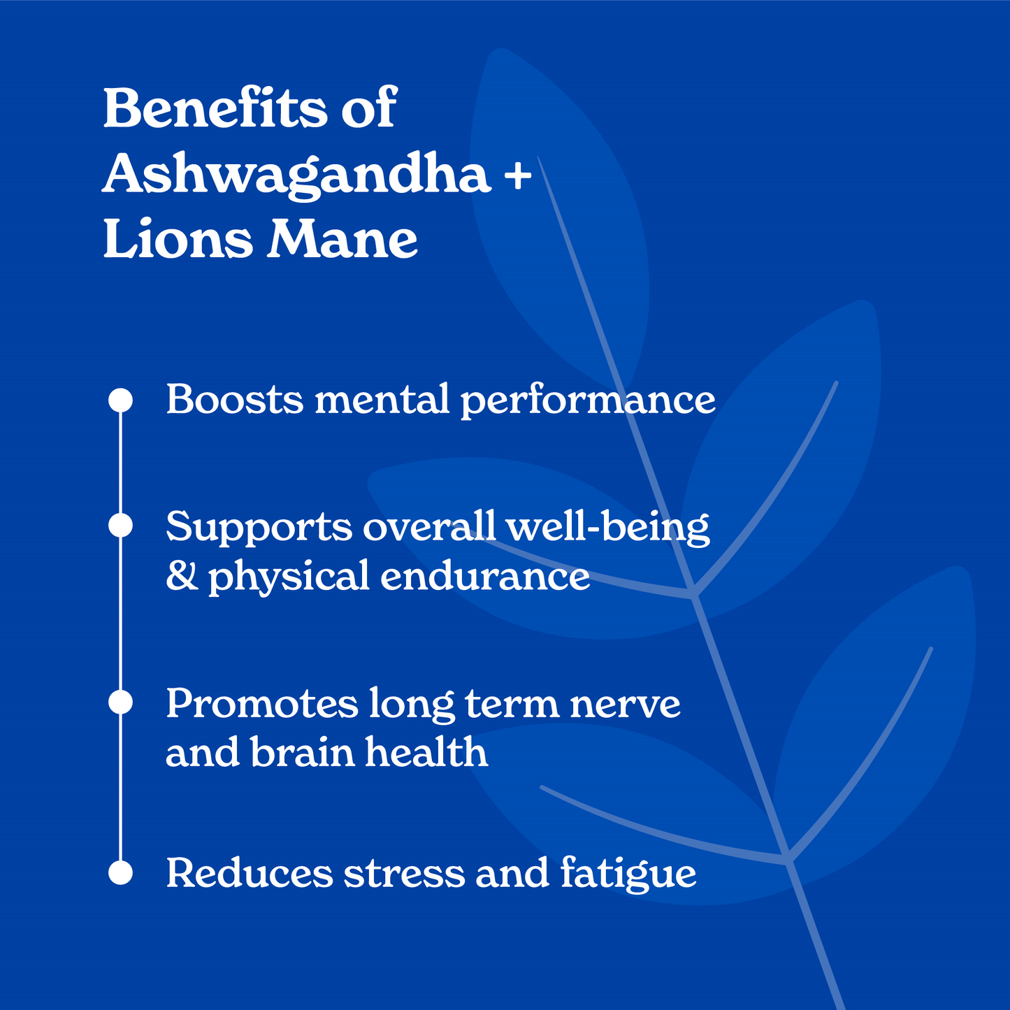 Benefits list of nooroots ashwagandha and lions mane supplement