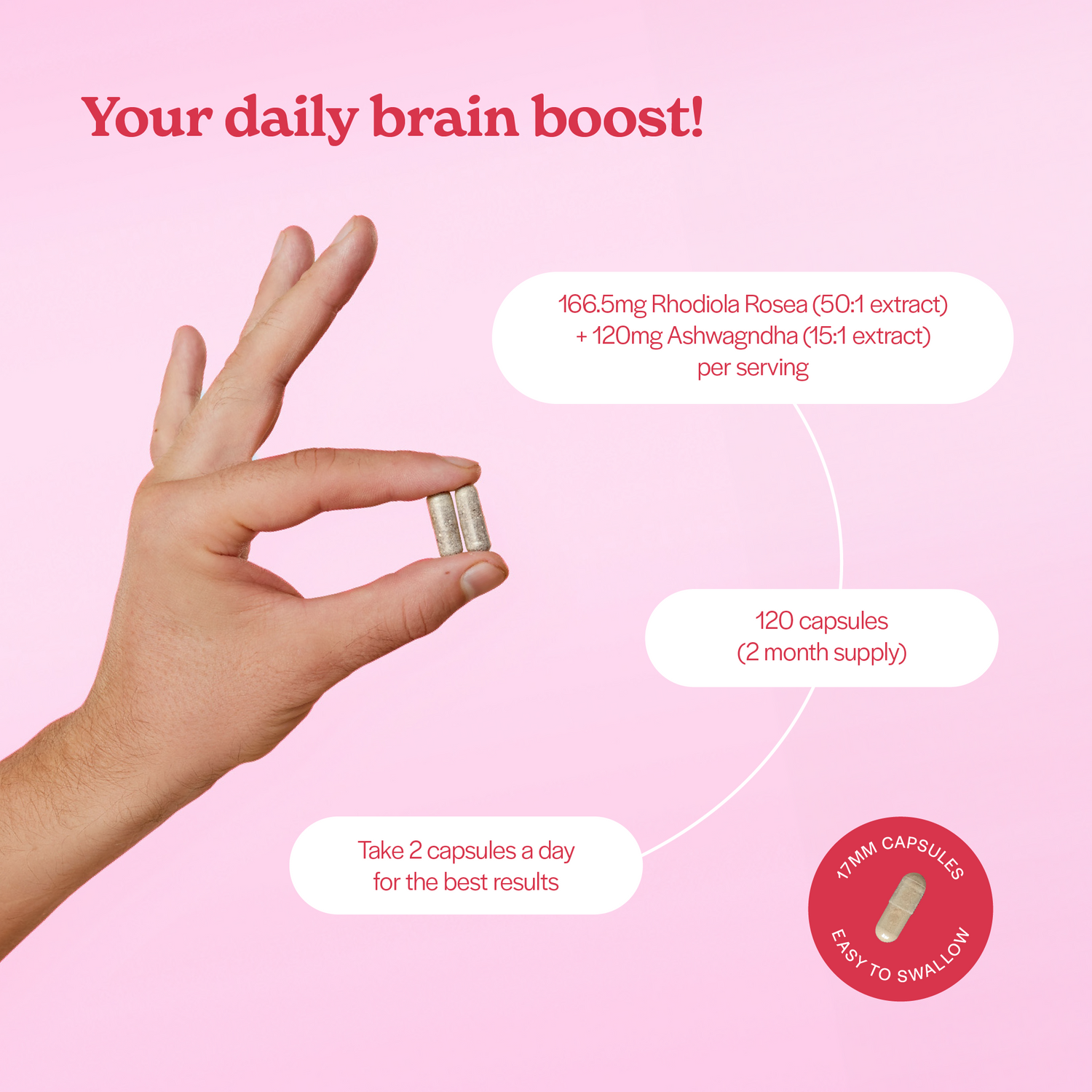 nooroots nootropic supplement ashwagandha and rhodiola rosea features