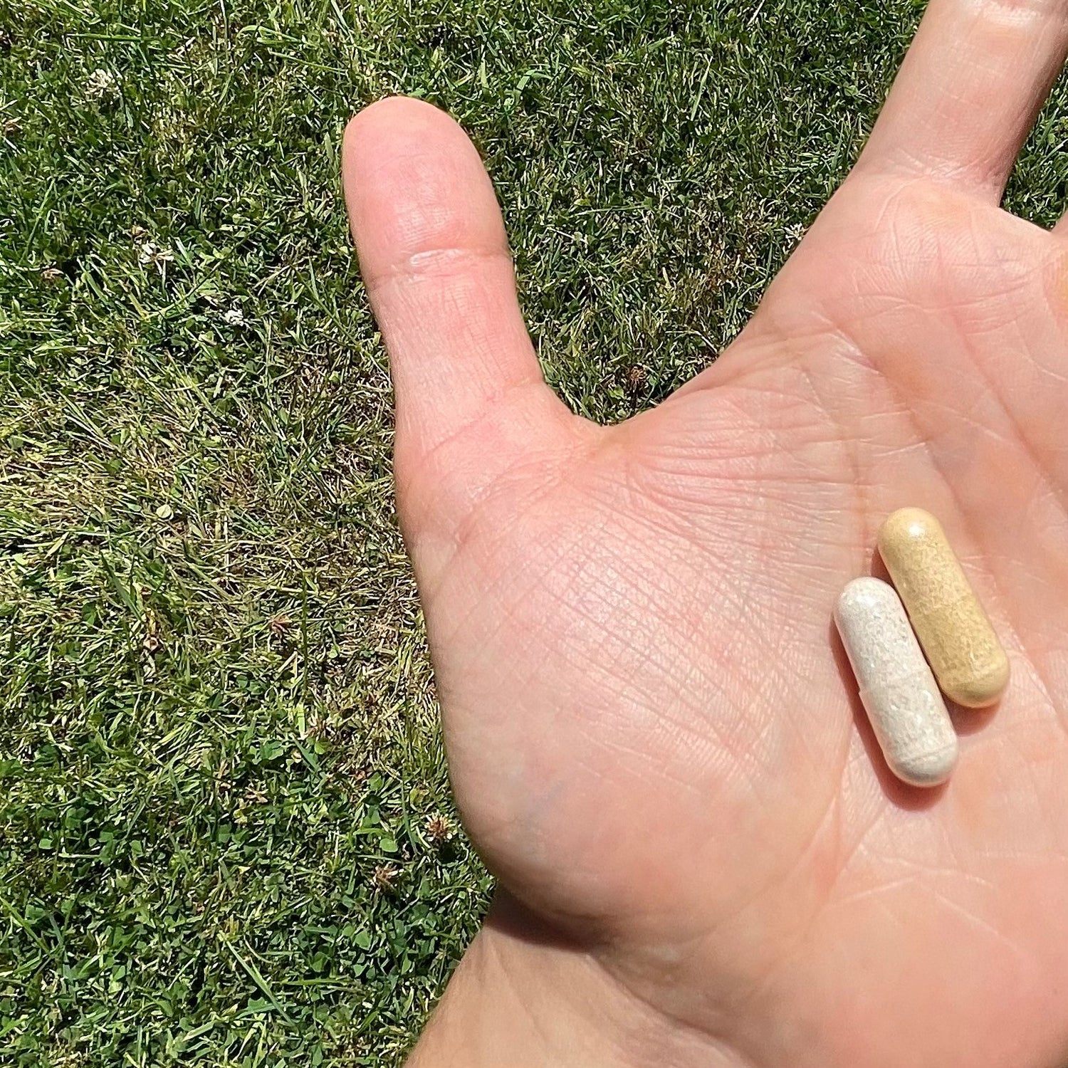 nooroots nootropic supplement capsules