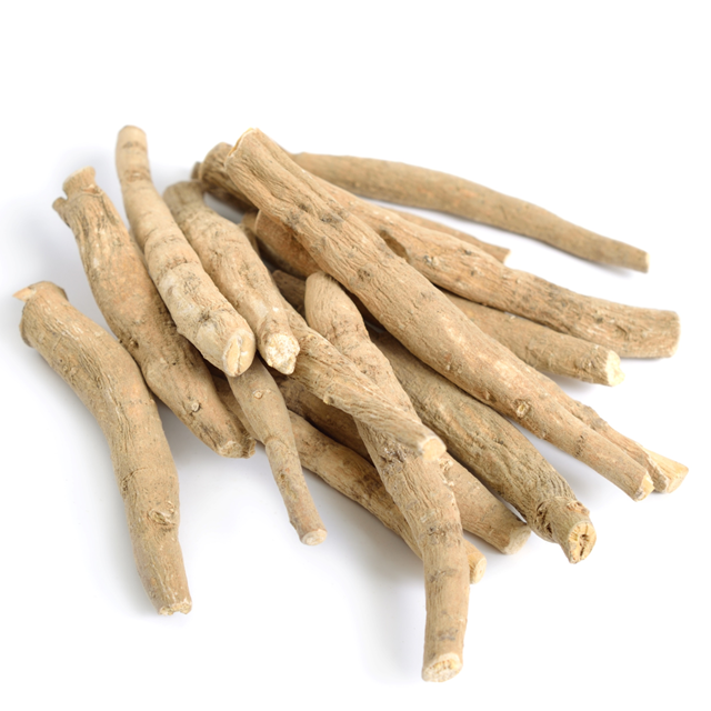 Ashwagandha Nootropic