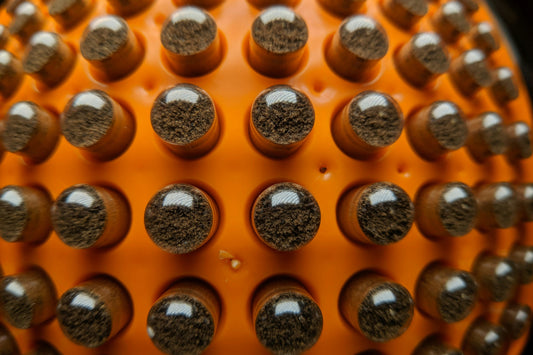 Close-up of brown capsules arranged in rows on an orange tray.