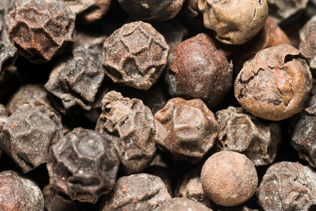 piperine nooroots nootropic supplement