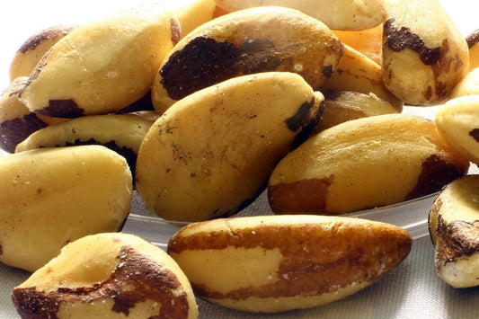 selenium nooroots nootropic supplement