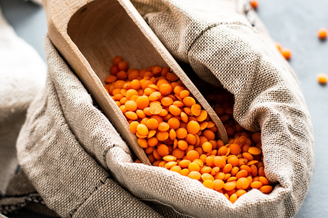 vitamin b1 thiamine nooroots nootropic supplement