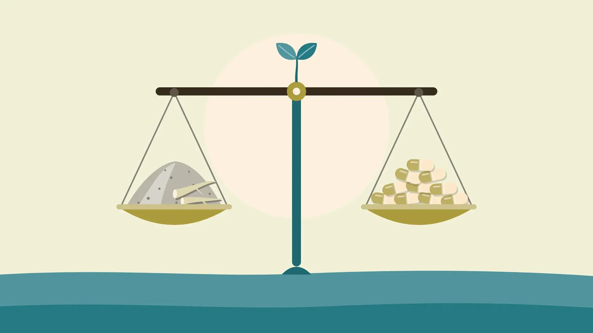 A level balance scale with a heap of ground root powder and two pieces of dried root in one pan and a heap of capsules in the other, on a cream background