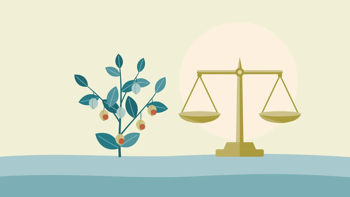 A sprig of ashwagandha with red berries in papery husks beside a pair of level brass balance scales on a cream background