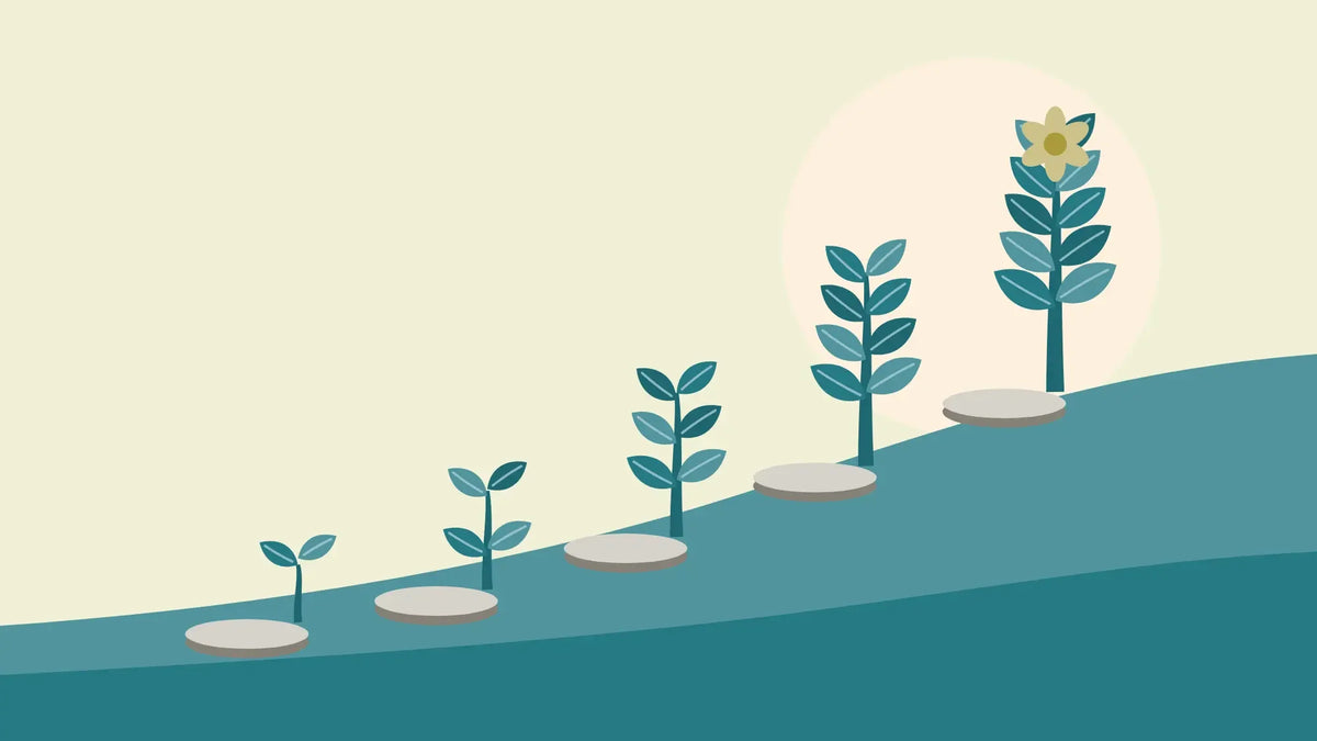 Five stepping stones climbing a teal hill, each with a plant a little bigger than the last, the final one in flower