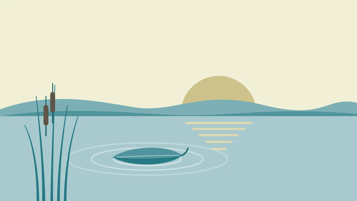 A low sun behind soft hills over a still lake, with one leaf floating among slow ripples and bulrushes at the water's edge