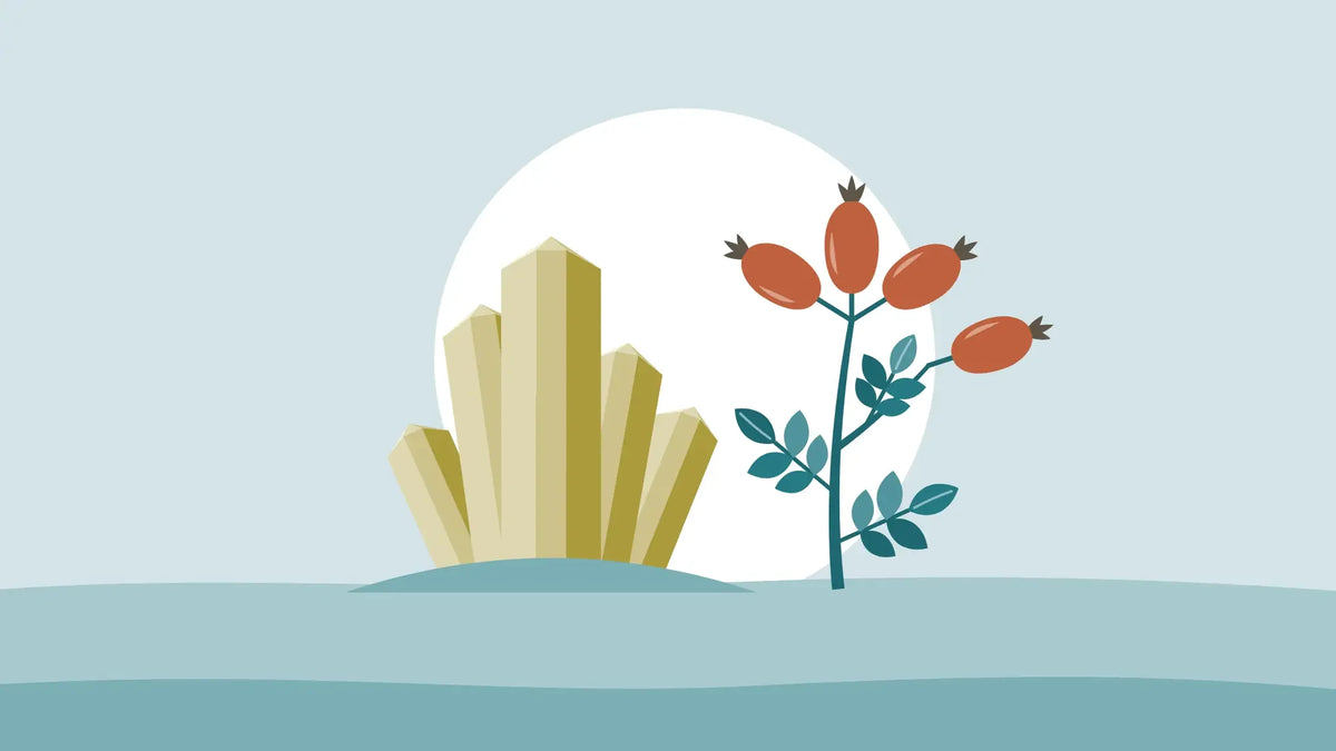 Golden magnesium crystals beside a sprig of red rosehips on a pale teal background