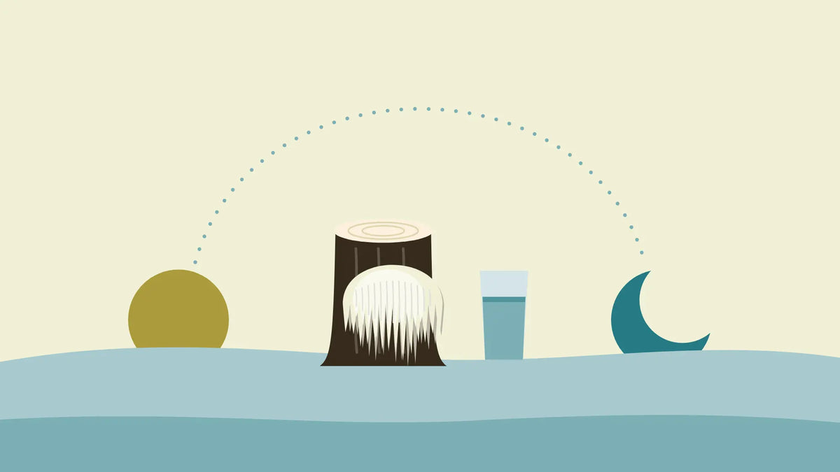 A dotted arc from a rising sun to a setting moon over hills, with a lion's mane on a tree stump and a glass of water