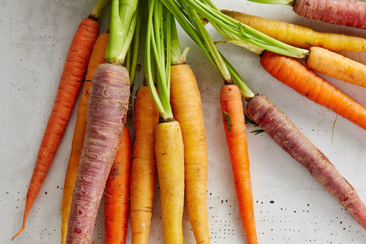 vitamin a nooroots nootropic supplement