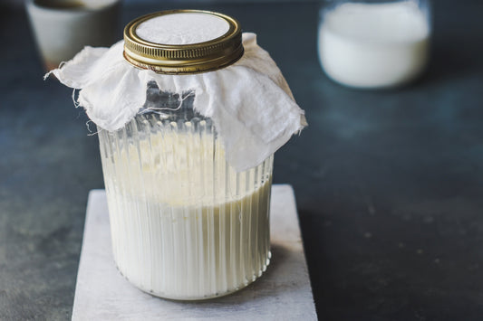 vitamin b2 riboflavin nooroots nootropic supplement