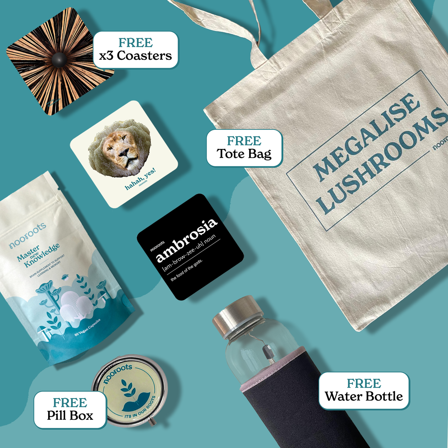 Nooroots Learning Memory Bundle