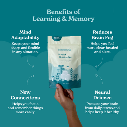 Hand holding a Learning & Memory pouch, with four benefits: adaptability, clearer head, connections, neural defence