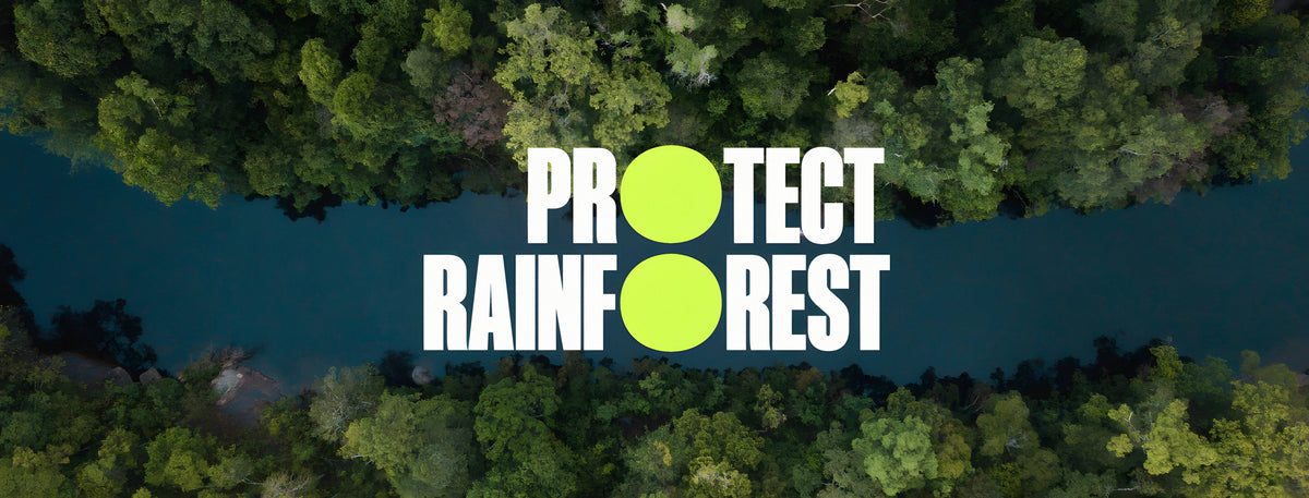 Protect the rainforest, over an aerial photo of a river through rainforest
