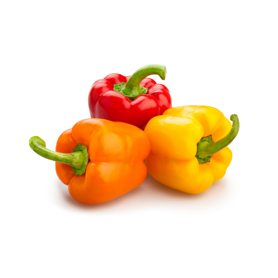 vitamin c nooroots nootropic supplement