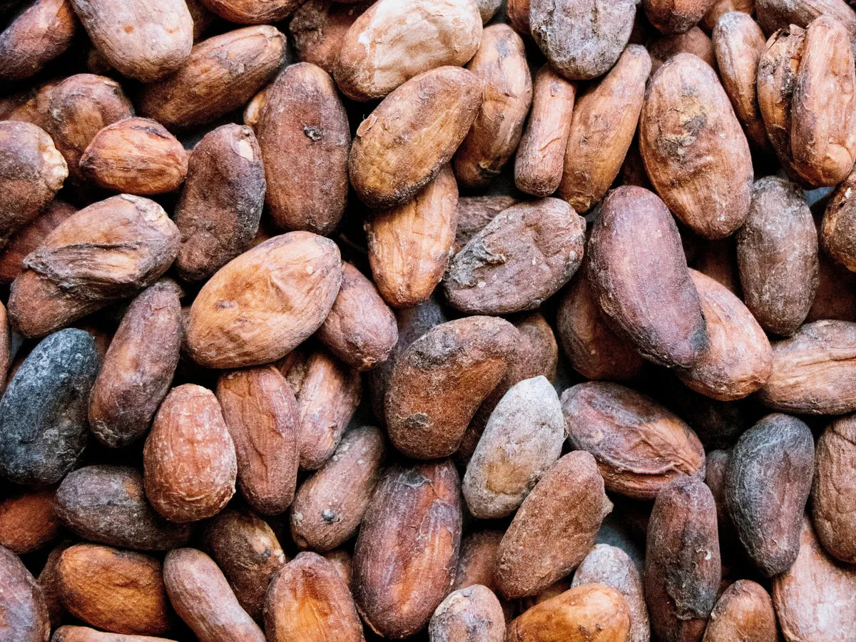 Pile of whole cacao beans