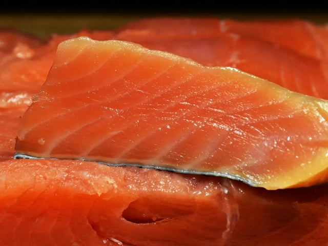 Raw salmon fillet
