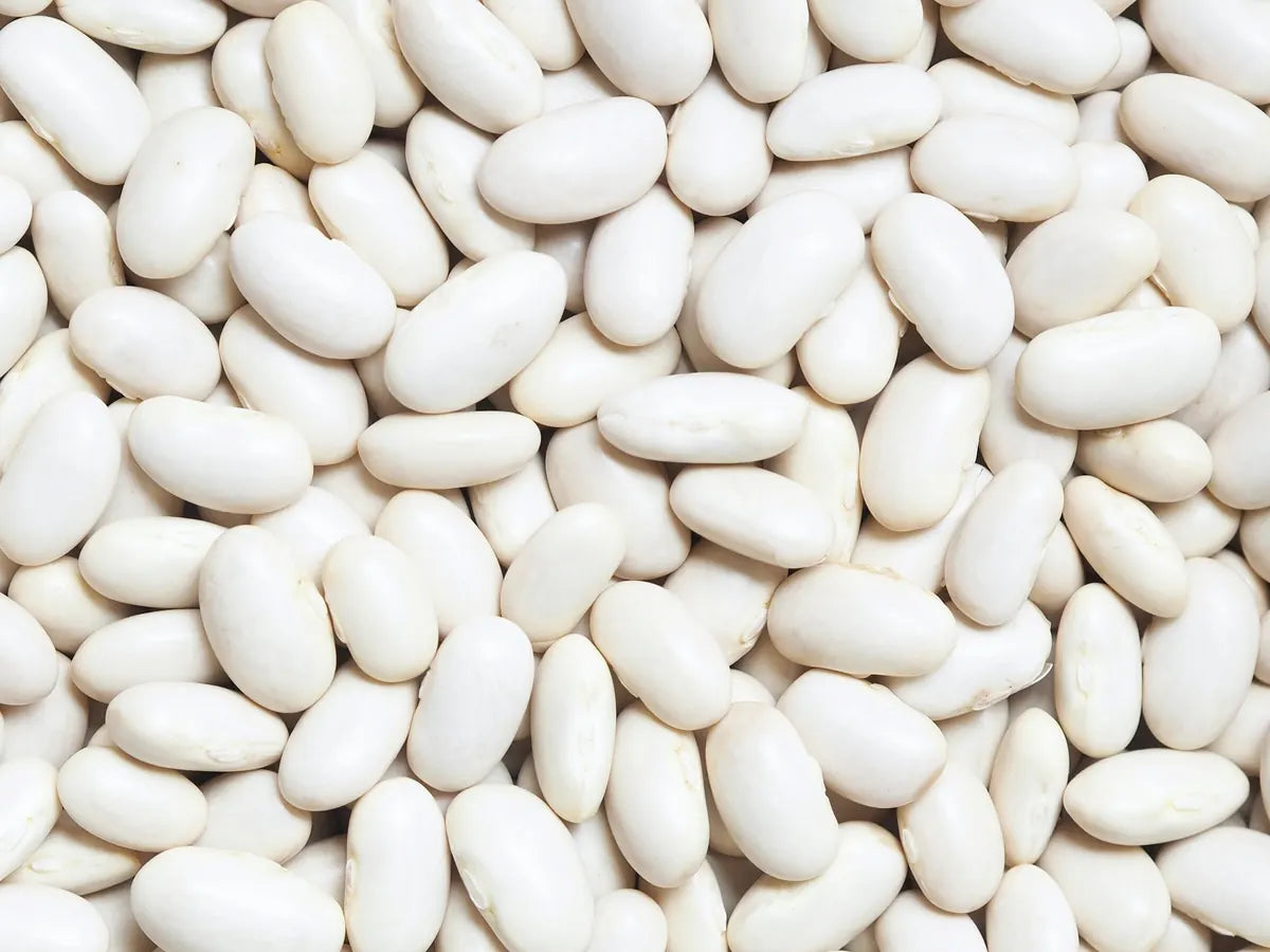 Pile of dried white beans