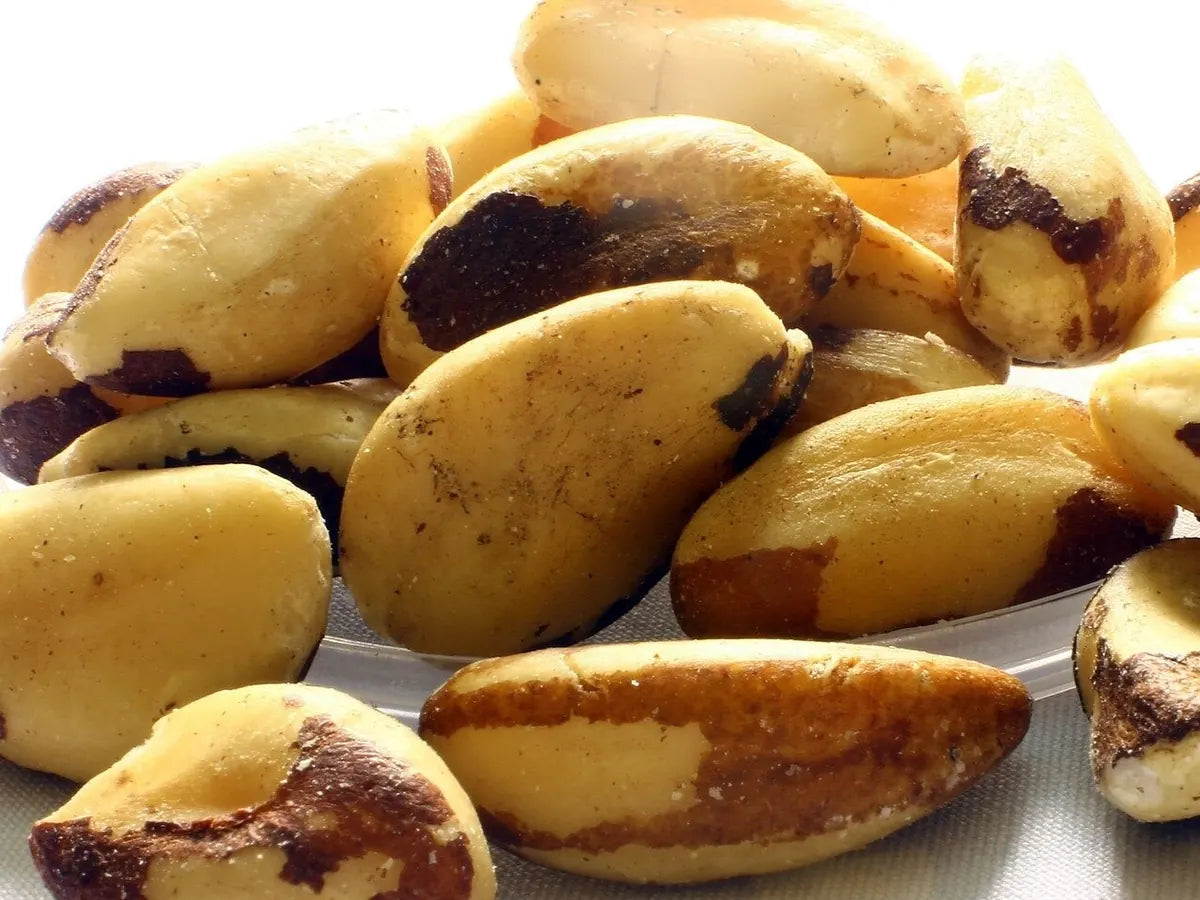 Shelled Brazil nuts