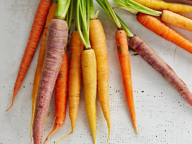 Bunch of orange and yellow carrots