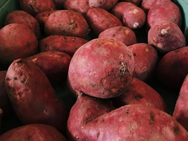 Pile of red-skinned sweet potatoes