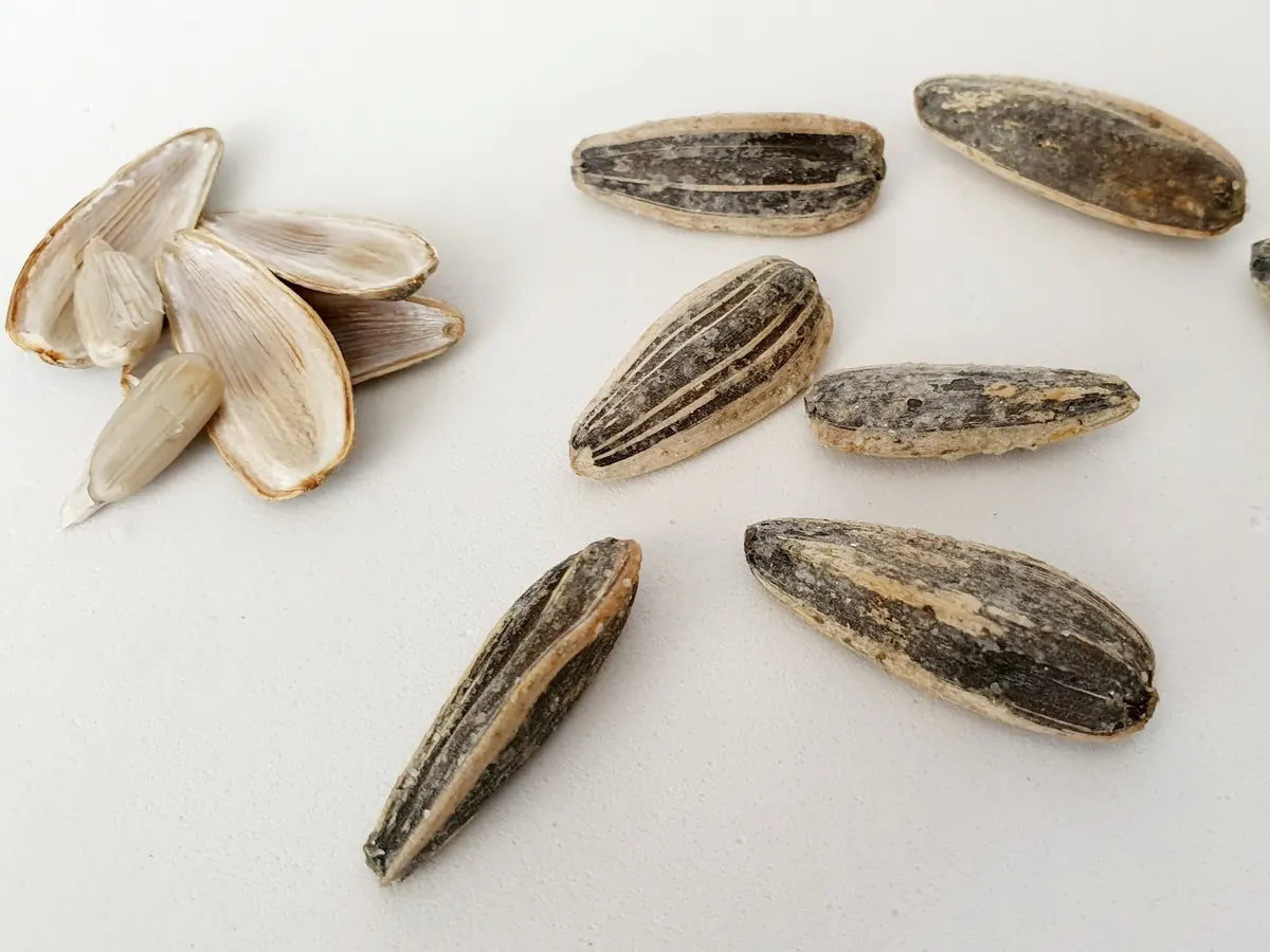 Sunflower seeds, some shelled, on a white surface