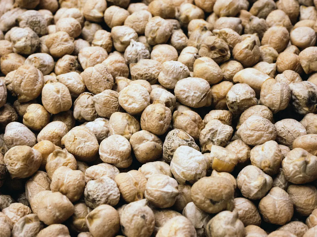 Pile of dried chickpeas