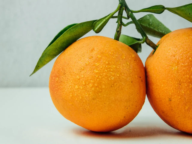 Two oranges with leaves on the stem