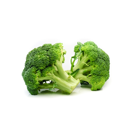 citicoline nooroots nootropic supplement