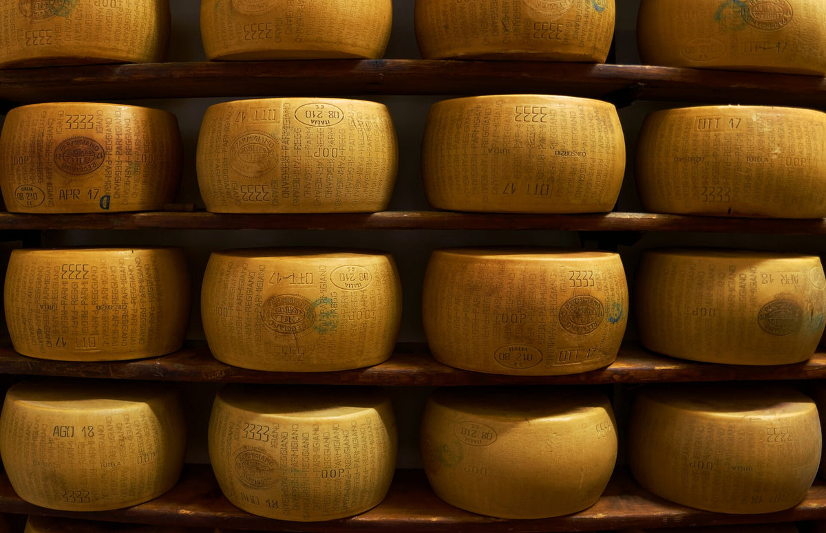 Wheels of Parmigiano Reggiano cheese ageing on wooden shelves