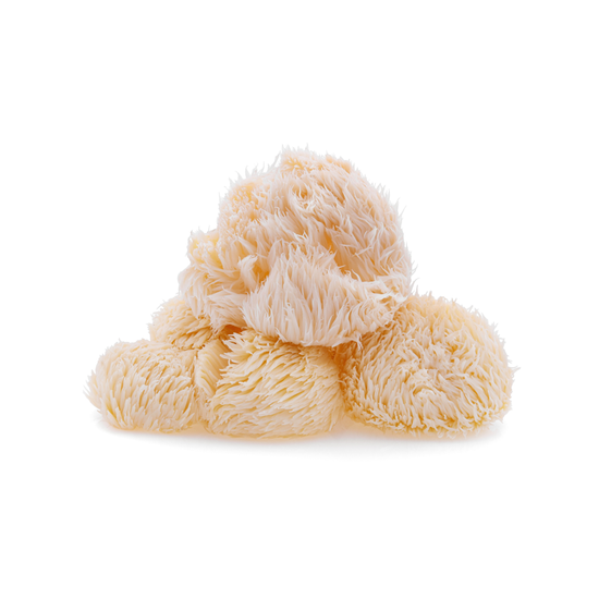 lions mane nooroots nootropic supplement