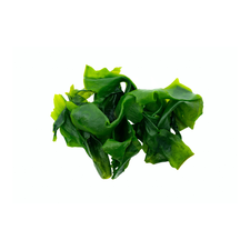 Iodine, shown as seaweed