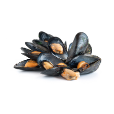 Vitamin B12, shown as mussels