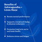 Text graphic listing benefits of Ashwagandha + Lion’s Mane on a blue leaf-themed background.