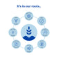 Circular infographic showing Nooroots product qualities such as vegan, non-GMO, and UK-made.