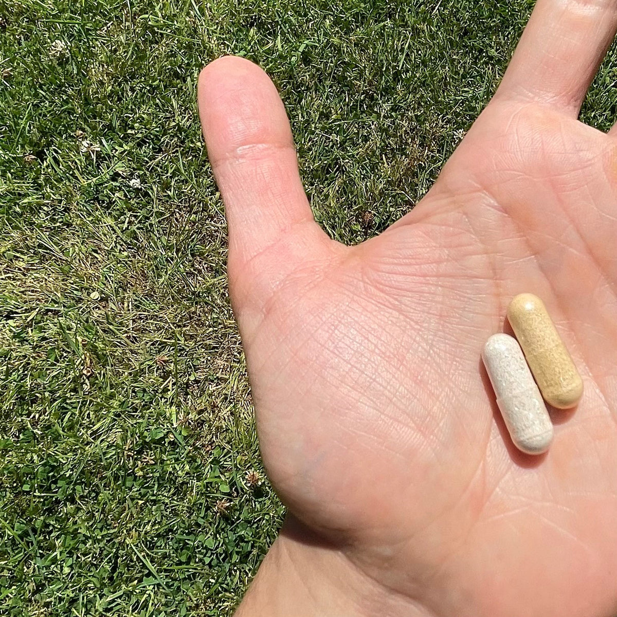 nooroots nootropic supplement capsules