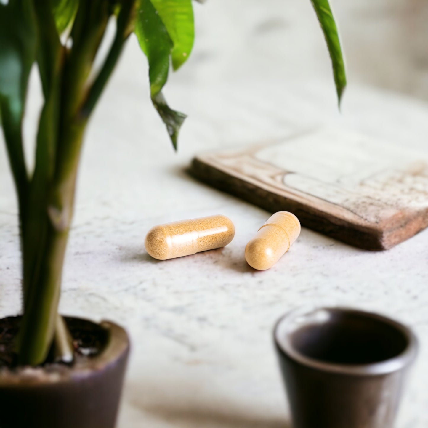 nooroots mood nootropic capsules on stone table with plant in foreground