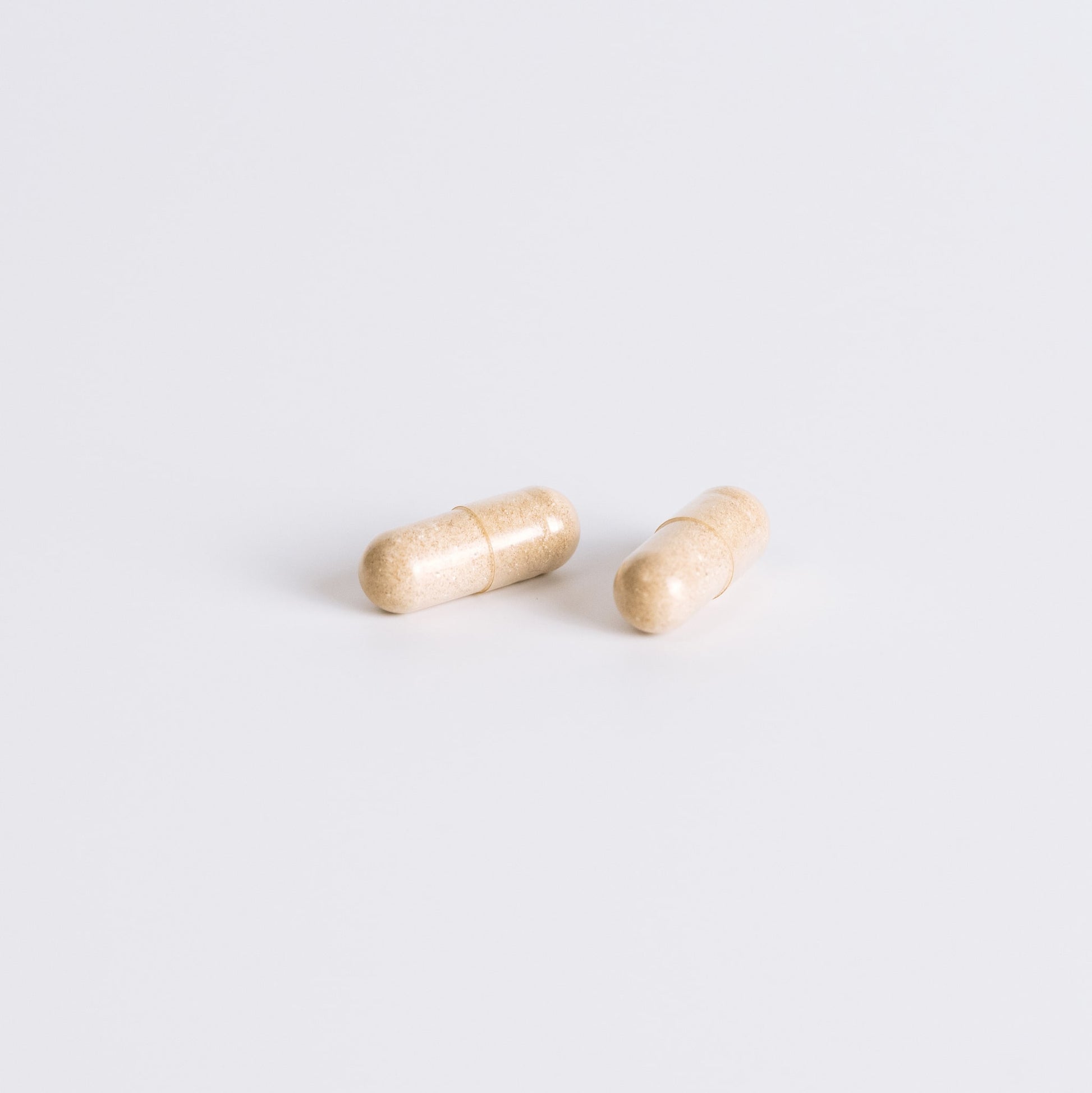 two capsule nooroots nootropic supplement