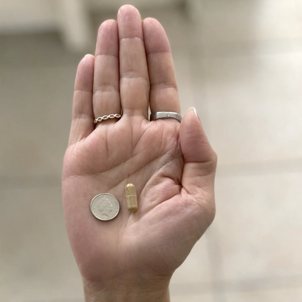 Small Nooroots capsule shown next to a 5p coin