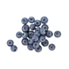 Blueberry juice extract, rich in antioxidants for brain health
