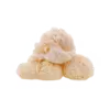 Lion's Mane extract used to enhance memory and cognitive function