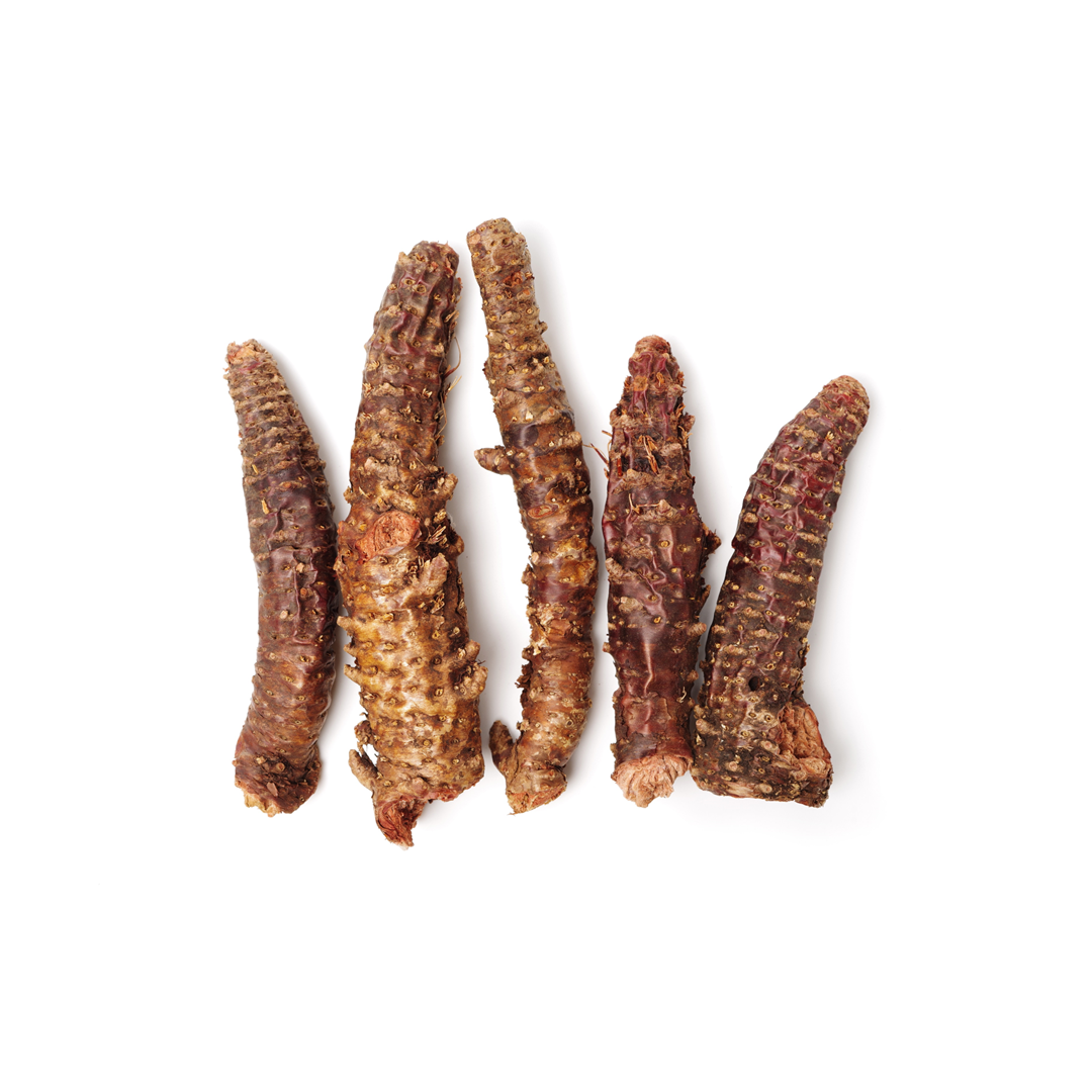 Rhodiola Rosea root, an adaptogenic herb that boosts energy and reduces fatigue in Nooroots supplements